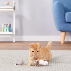 Petlinks Lil' Creepers Refillable Cat Toy With Catnip 9 Petlinks Lil' Creepers Refillable Cat Toy With Catnip -Pet Cat Supplies Store 102630 PT2. AC SS1800 V1594672264