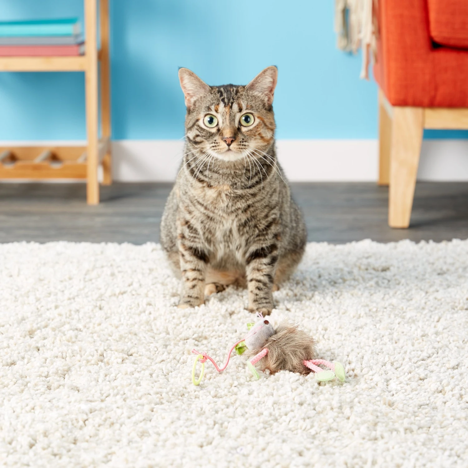 SmartyKat Bouncy Mouse Interactive Teaser Cat Toy, Color Varies 6 SmartyKat Bouncy Mouse Interactive Teaser Cat Toy, Color Varies - Image 6