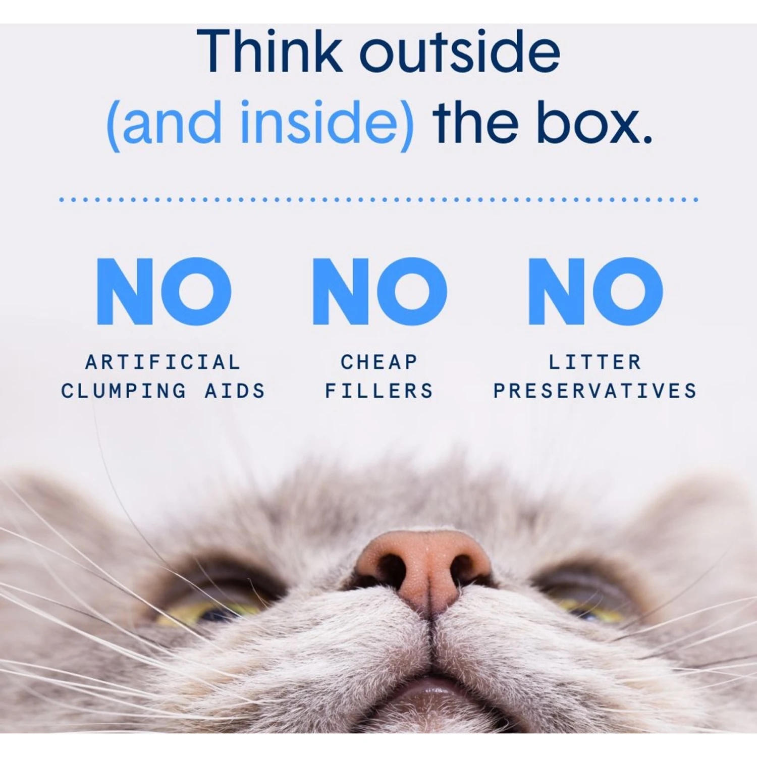 Boxiecat Premium Unscented Clumping Clay Cat Litter 6 Boxiecat Premium Unscented Clumping Clay Cat Litter - Image 6