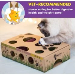 Cat Amazing Interactive Treat Maze & Puzzle Cat Toy -Pet Cat Supplies Store 105304 PT3. AC SS1800 V1490298113