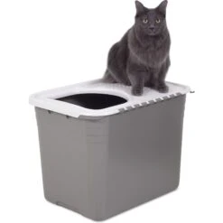 Petmate Top Entry Litter Pan -Pet Cat Supplies Store 105471 PT4. AC SS1800 V1536765248