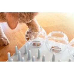 TRIXIE Activity Fun Board 5-in-1 Activity Strategy Game Cat Toy -Pet Cat Supplies Store 107255 PT4. AC SS1800 V1686331326