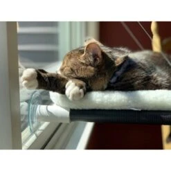 Kitty Cot Original World's Best Cat Perch -Pet Cat Supplies Store 108559 PT3. AC SS1800 V1568668924