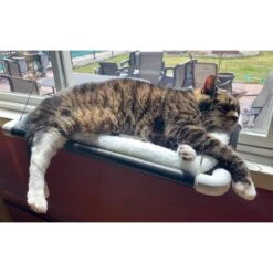 Kitty Cot Original World's Best Cat Perch -Pet Cat Supplies Store 108559 PT4. AC SS1800 V1568668925