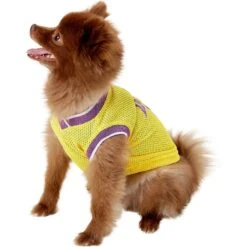 Pets First NBA Dog & Cat Mesh Jersey -Pet Cat Supplies Store 111989 PT3. AC SS1800 V1539982969