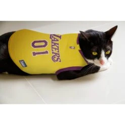 Pets First NBA Dog & Cat Mesh Jersey -Pet Cat Supplies Store 111989 PT5. AC SS1800 V1539983046