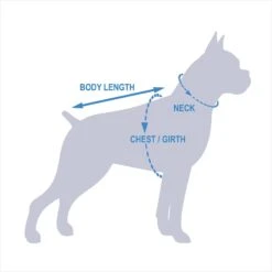 Pets First NBA Dog & Cat Mesh Jersey -Pet Cat Supplies Store 111989 PT8. AC SS1800 V1541180284