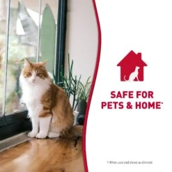 Nature's Miracle Cat Enzymatic Stain Remover & Odor Eliminator Spray, 32-oz Bottle -Pet Cat Supplies Store 115440 PT7. AC SS1800 V1701453353