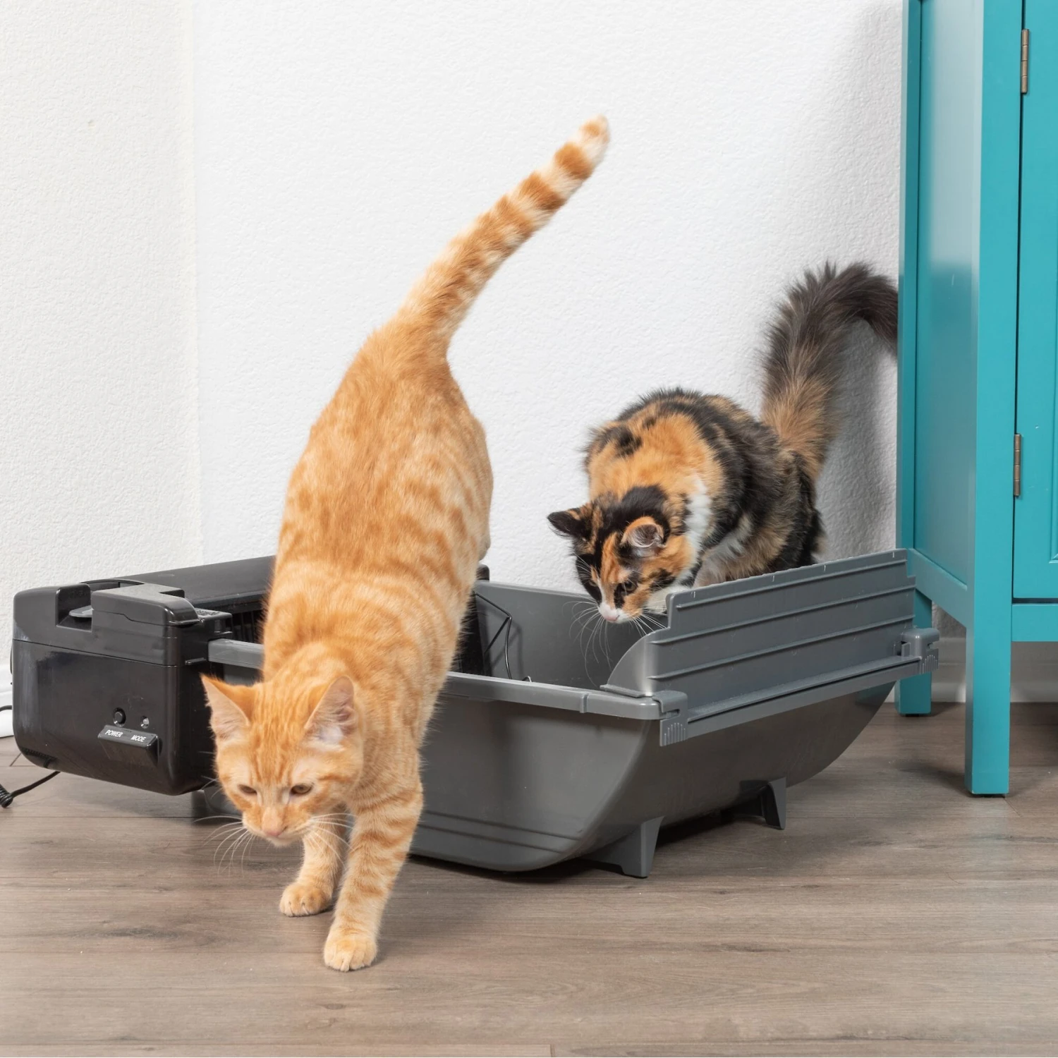 Pet Zone Smart Scoop Automatic Self-Cleaning Cat Litter Box 8 Pet Zone Smart Scoop Automatic Self-Cleaning Cat Litter Box - Image 8