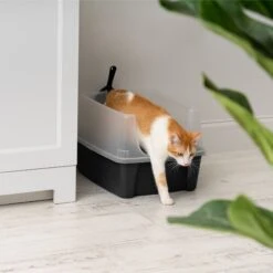 IRIS USA Open Top Litter Box With Scatter Shield & Scoop -Pet Cat Supplies Store 116462 PT6. AC SS1800 V1680809081