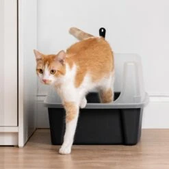 IRIS USA Open Top Litter Box With Scatter Shield & Scoop -Pet Cat Supplies Store 116462 PT7. AC SS1800 V1680808961