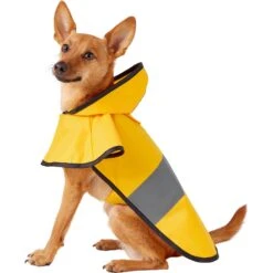 Frisco Lightweight Rainy Days Dog Raincoat