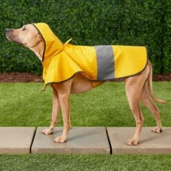 Frisco Lightweight Rainy Days Dog Raincoat -Pet Cat Supplies Store 119208 PT7. AC SS1800 V1540475377
