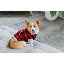 Chilly Dog Buffalo Plaid Dog & Cat Sweater -Pet Cat Supplies Store 121710 PT2. AC SS1800 V1595883355