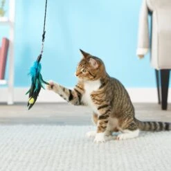 Pet Fit For Life 4 Piece Dual Rod Wand Cat Toy -Pet Cat Supplies Store 123822 PT2. AC SS1800 V1589320598