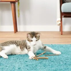 CatTwig Silver Vine Stick Cat Chew Toy -Pet Cat Supplies Store 125648 PT3. AC SS1800 V1554126585