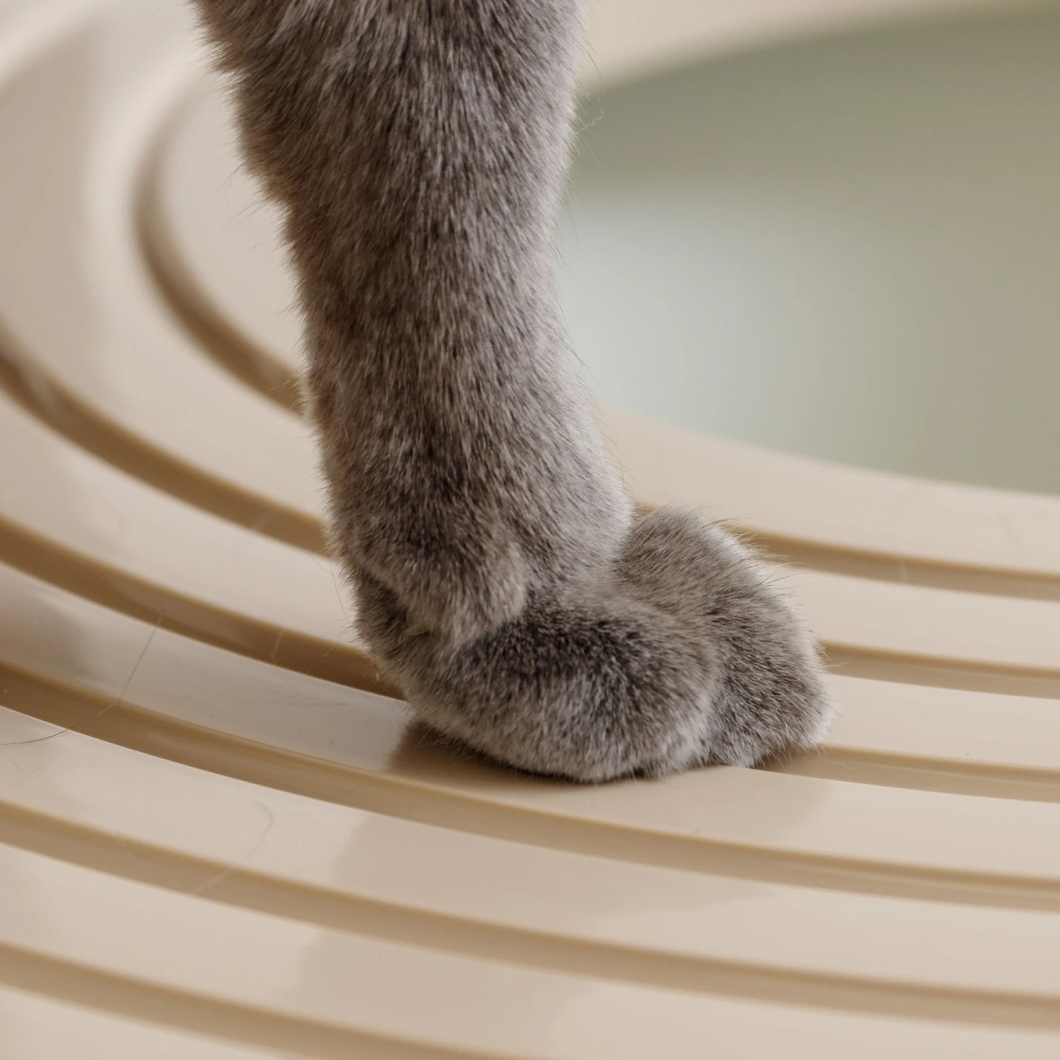 IRIS USA Round Top Entry Cat Litter Box & Scoop 5 IRIS USA Round Top Entry Cat Litter Box & Scoop - Image 5