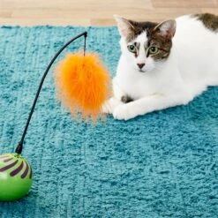 SmartyKat Universal Replacement Wand Cat Toy -Pet Cat Supplies Store 137641 PT3. AC SS1800 V1545250733