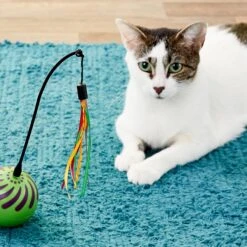 SmartyKat Universal Replacement Wand Cat Toy -Pet Cat Supplies Store 137641 PT5. AC SS1800 V1545250742