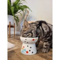 Necoichi Raised Cat Food Bowl, Fuji 13 Necoichi Raised Cat Food Bowl, Fuji -Pet Cat Supplies Store 138931 PT5. AC SS1800 V1649353303