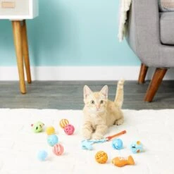 Hartz Just For Cats Toy Variety Pack, 13 Count 10 Hartz Just For Cats Toy Variety Pack, 13 Count -Pet Cat Supplies Store 139111 PT2. AC SS1800 V1589230985