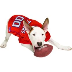 Pets First NCAA Dog & Cat Mesh Jersey -Pet Cat Supplies Store 142188 PT3. AC SS1800 V1538433441