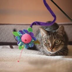 KONG Laser Teaser Cat Toy 7 KONG Laser Teaser Cat Toy -Pet Cat Supplies Store 143207 PT2. AC SS1800 V1631762885