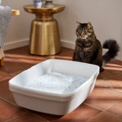 Frisco Summer Clean Scented Non-Clumping Crystal Cat Litter -Pet Cat Supplies Store 144146 PT4. AC SS1800 V1659023731