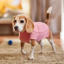 Frisco Dog & Cat Cable Knitted Sweater -Pet Cat Supplies Store 144254 PT5. AC SS1800 V1541456525