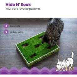 Catstages Grass Patch Hunting Box Cat Scratcher Toy -Pet Cat Supplies Store 148104 PT3. AC SS1800 V1631683023