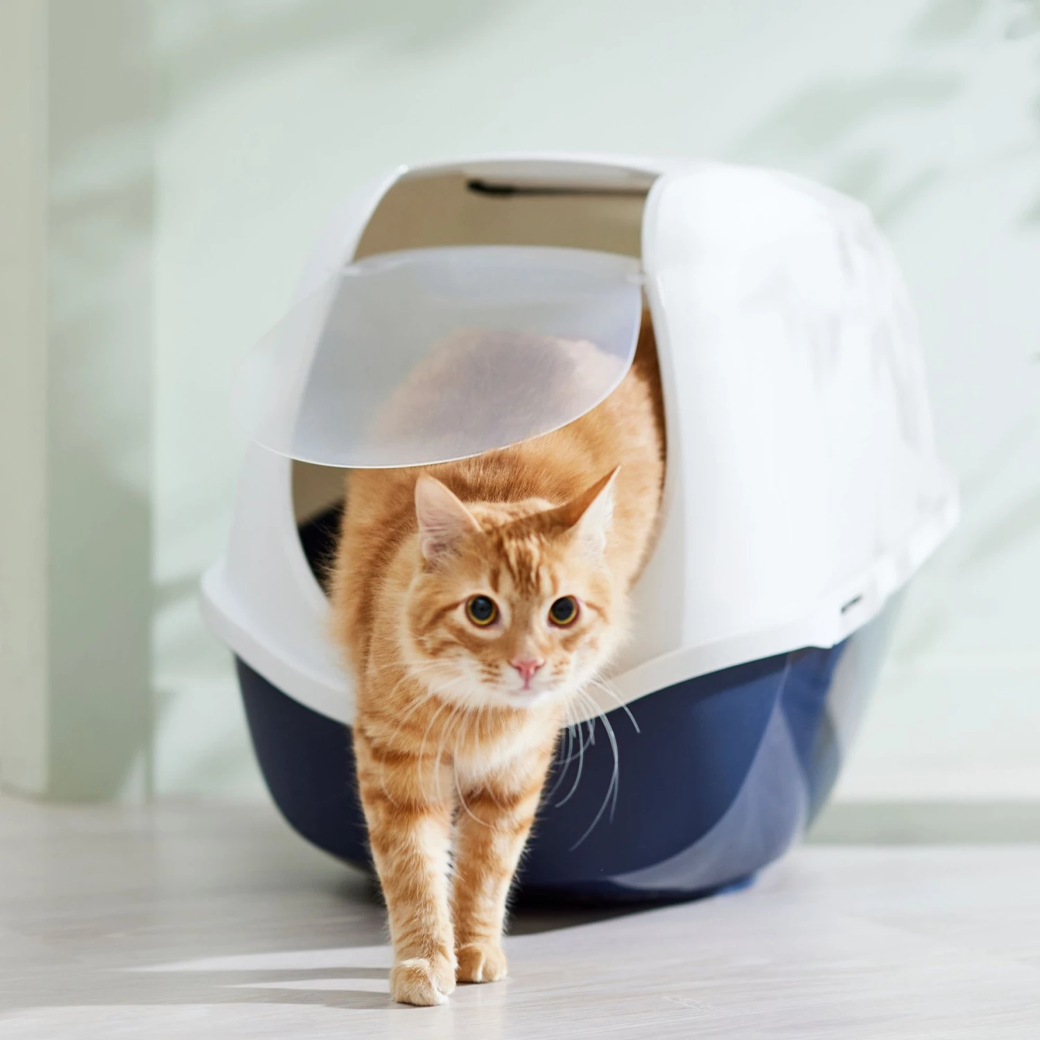 Frisco Hooded Cat Litter Box 1 Frisco Hooded Cat Litter Box