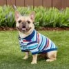 Frisco Striped Dog & Cat Polo Shirt, Red & Blue