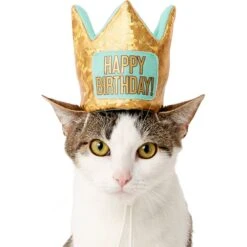 Frisco Happy Birthday Dog & Cat Crown -Pet Cat Supplies Store 153665 PT2. AC SS1800 V1551230979