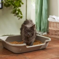 Nature's Logic All Natural Pine Unscented Non-Clumping Wood Cat Litter 7 Nature's Logic All Natural Pine Unscented Non-Clumping Wood Cat Litter -Pet Cat Supplies Store 153908 PT3. AC SS1800 V1680789625