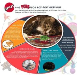 Pet Cat Supplies Store -Pet Cat Supplies Store 154211 PT4. AC SS1800 V1546900046