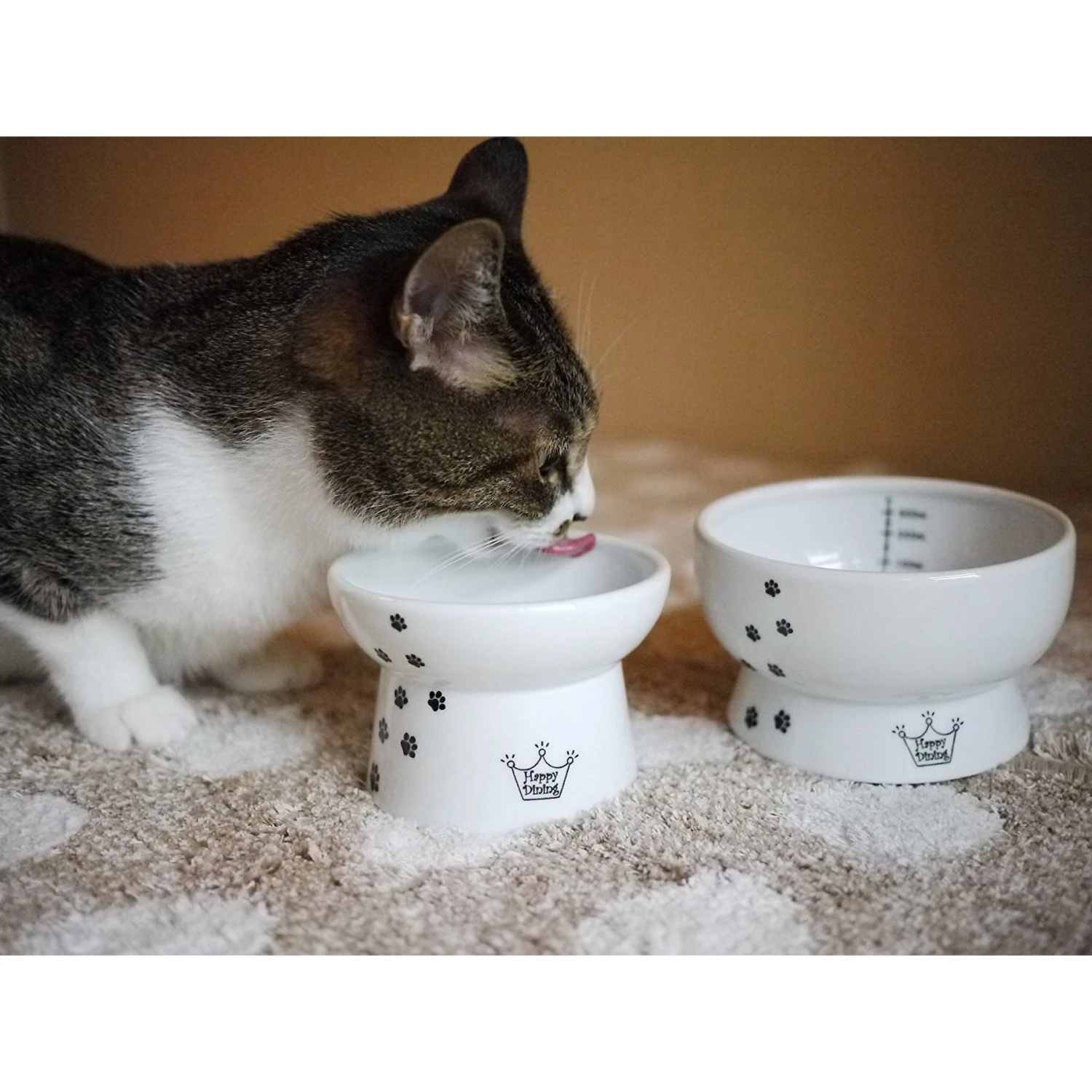 Necoichi Ceramic Elevated Cat Food & Water Bowl Set 2 Necoichi Ceramic Elevated Cat Food & Water Bowl Set - Image 2