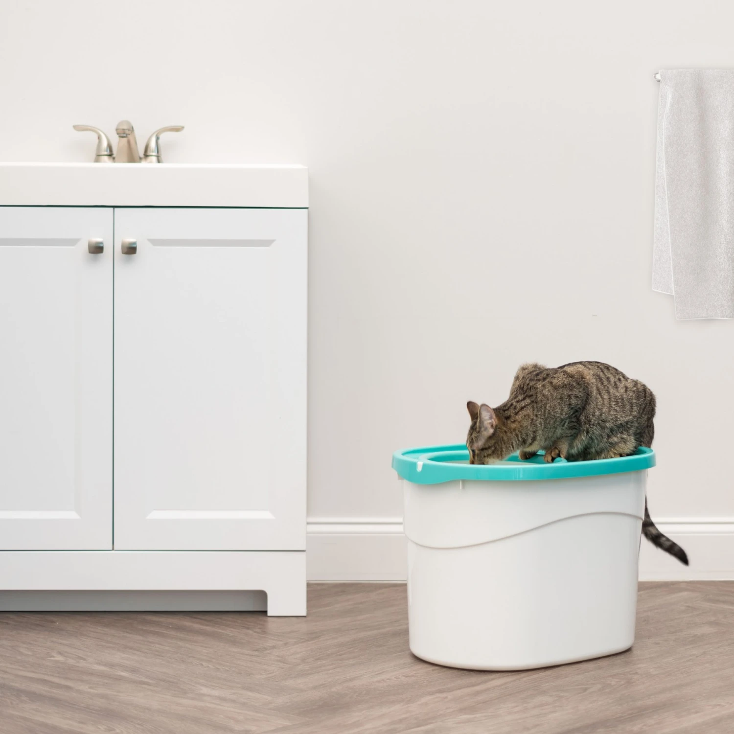 IRIS USA Large Round Top Entry Cat Litter Box & Scoop 3 IRIS USA Large Round Top Entry Cat Litter Box & Scoop - Image 3
