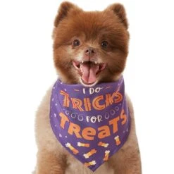 Frisco I Do Tricks For Treats Dog & Cat Bandana