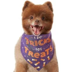 Frisco I Do Tricks For Treats Dog & Cat Bandana -Pet Cat Supplies Store 158938 PT3. AC SS1800 V1633075903