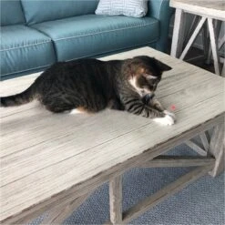 Pet Fit For Life 2 In 1 LED Laser Light & Interactive Wand Cat Toy -Pet Cat Supplies Store 159020 PT2. AC SS1800 V1589320987