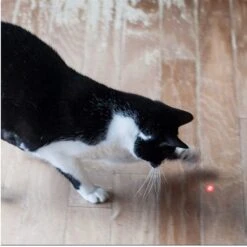 Pet Fit For Life 2 In 1 LED Laser Light & Interactive Wand Cat Toy -Pet Cat Supplies Store 159020 PT4. AC SS1800 V1589320998
