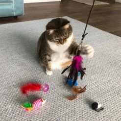 Pet Fit For Life Interactive Wand Teaser, Toys & Storage Bag 8 Piece Bundle Cat Toy -Pet Cat Supplies Store 159022 PT2. AC SS1800 V1589320995