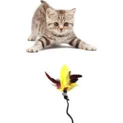 Pet Fit For Life Interactive Wand Teaser, Toys & Storage Bag 8 Piece Bundle Cat Toy -Pet Cat Supplies Store 159022 PT4. AC SS1800 V1589320889