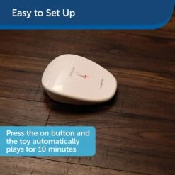 PetSafe Laser Tail Laser Cat Toy -Pet Cat Supplies Store 159065 PT5. AC SS1800 V1599844261