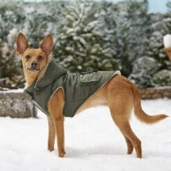Frisco Mid-Heavyweight Portland Insulated Dog & Cat Parka -Pet Cat Supplies Store 160295 PT7. AC SS1800 V1567618265