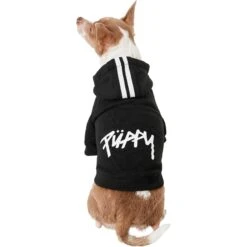 Frisco Püppy Dog Athletic Hoodie -Pet Cat Supplies Store 160342 PT2. AC SS1800 V1637689590