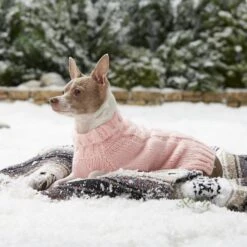 Frisco Ultra-Soft Marled Dog & Cat Sweater -Pet Cat Supplies Store 160636 PT5. AC SS1800 V1568061185