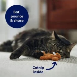 Frisco Squirrel Plush Cat Toy With Refillable Catnip -Pet Cat Supplies Store 161271 PT3. AC SS1800 V1678723897