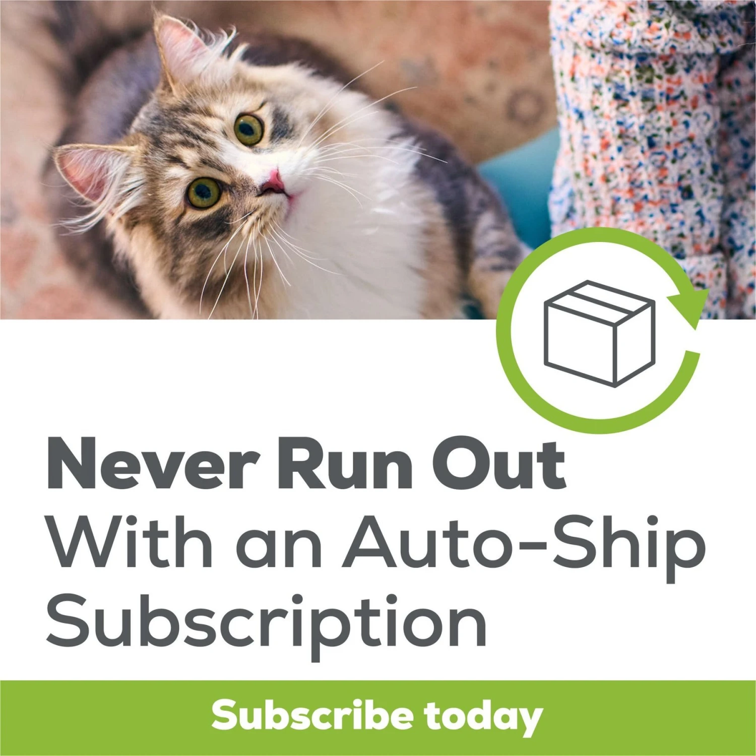 Tidy Cats Breeze Multi-Cat Strength Cat Pads 9 Tidy Cats Breeze Multi-Cat Strength Cat Pads - Image 9