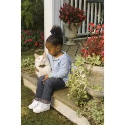 PetSafe In-Ground Cat Fence 10 PetSafe In-Ground Cat Fence -Pet Cat Supplies Store 166183 PT2. AC SS1800 V1700155561